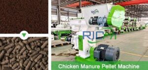 1-12T/H Chicken Manure Pellet Machine with Factory Price