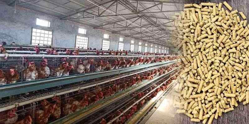 efficiency-of-feed-pellet-press