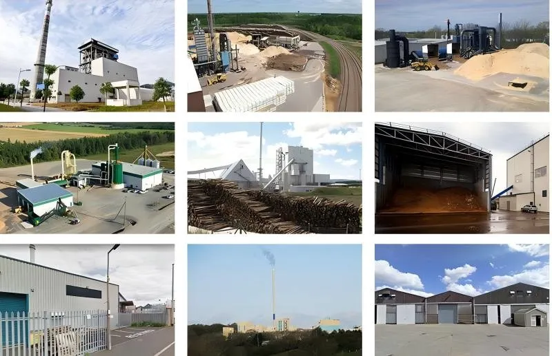 how-to-build-wood-pellet-manufacturing-plant-check-richi