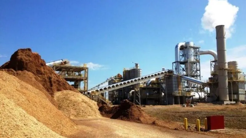 pellets-of-wood pellet manufacturing plant