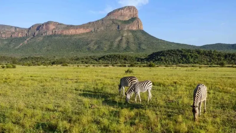 south africa nature