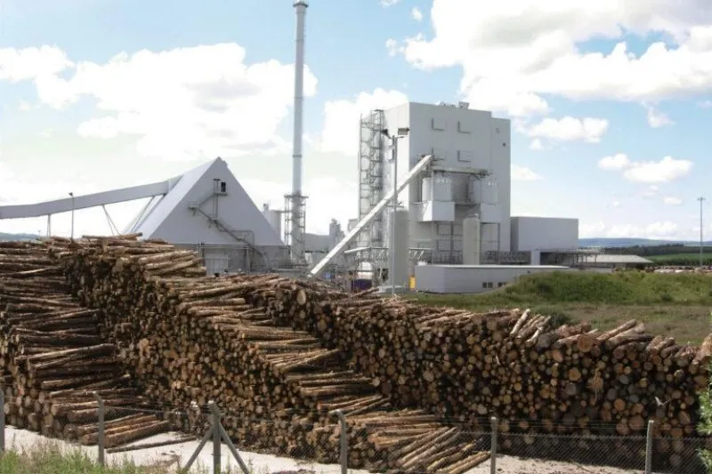 wood waste utilization of wood pellet press machine