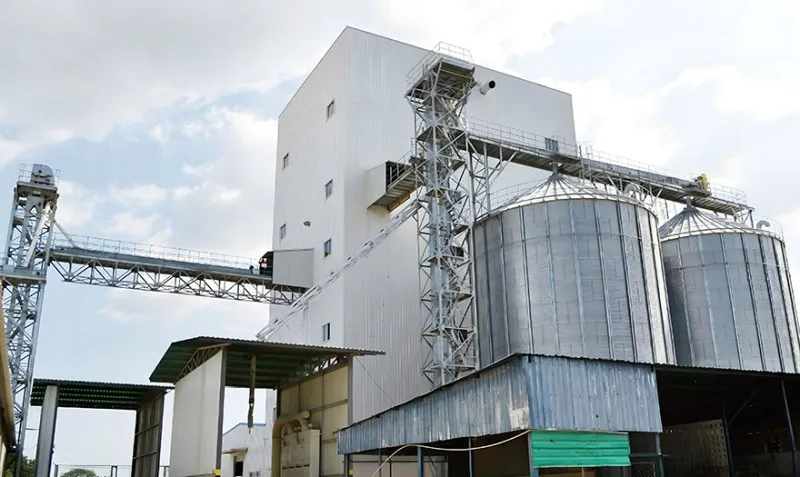 poultry Feed Production Line picture