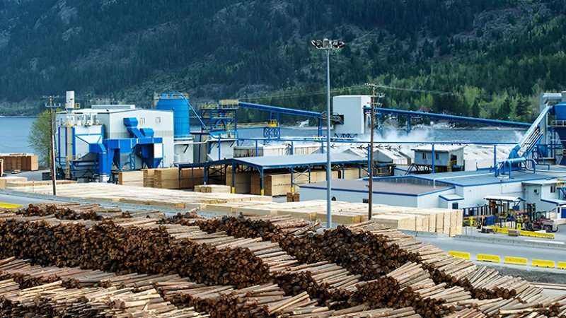 canada market wood pellet machine canada-forestry