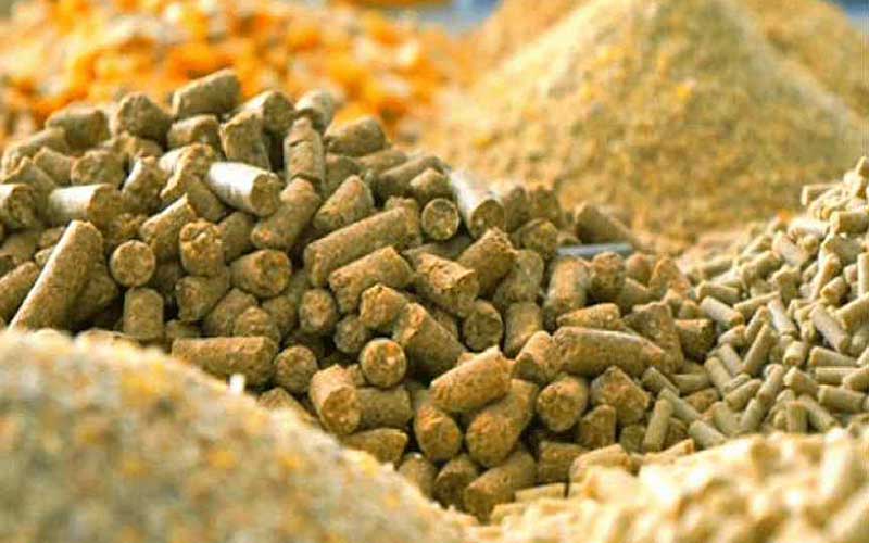 High-nutrition cattle feed pellets