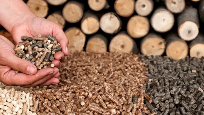 germany demand of Wood Pellet Machine