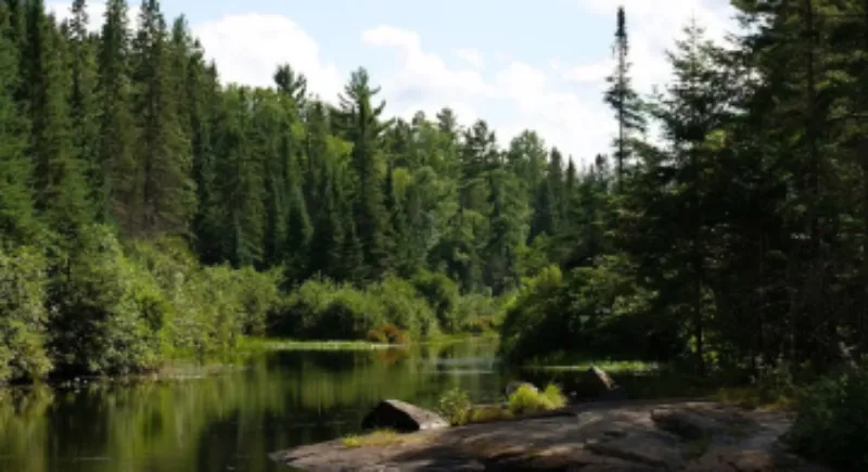market wood pellet machine canada-forestry