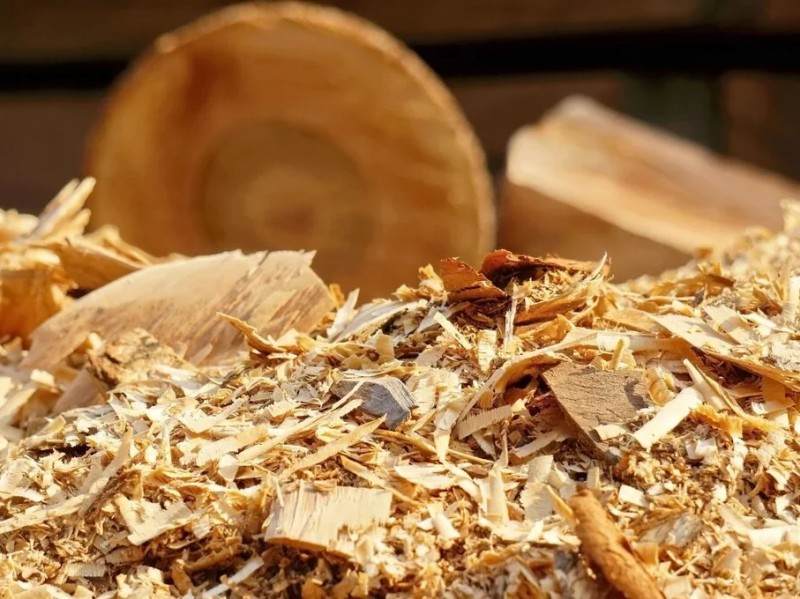 wood chips of 3 th Wood Pellet Machine Germany