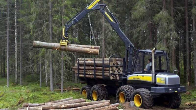 wood processing of Wood Pellet Machine Germany