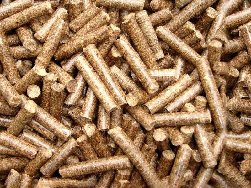 Biomass Pellet