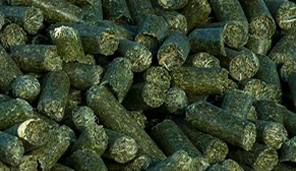 animal feed pellet