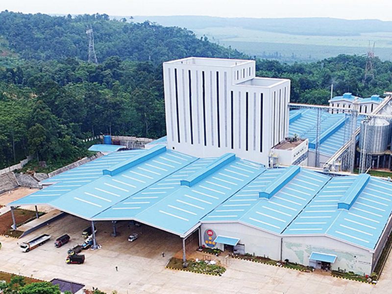 8-10T/H Poultry Feed Plant Project