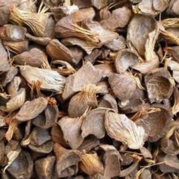 Palm kernel shells