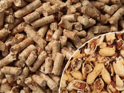 biomass pellet