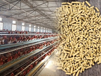 poultry feed pellet