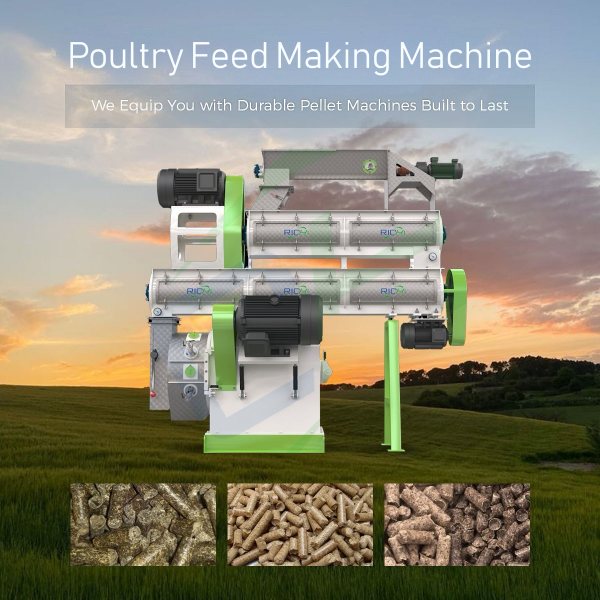 Ring Die Poultry Feed Making Machine
