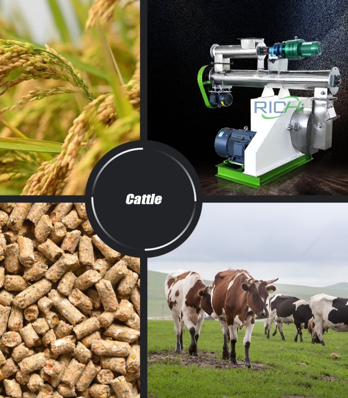 How to Choose the Right Machine?