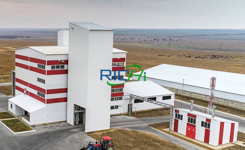 10 tph Poultry Feed Pellets Machine Italy