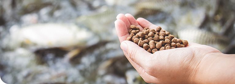 Pet food production line