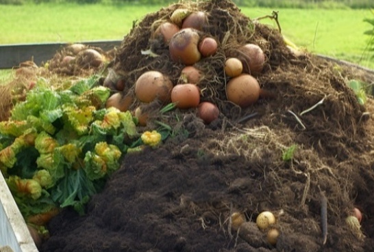 Kitchen waste compost