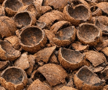 coconut shells