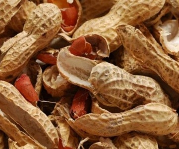 peanut shells