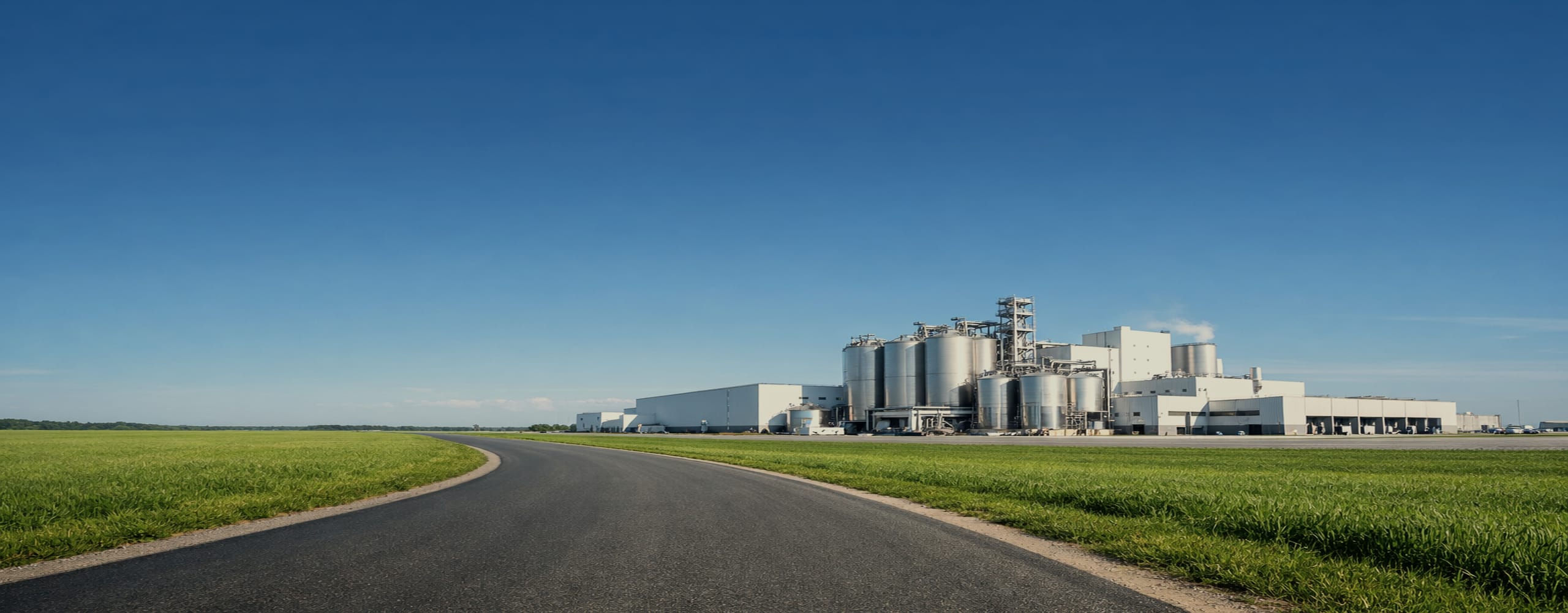 usine de transformation d'aliments pour animaux de compagnie