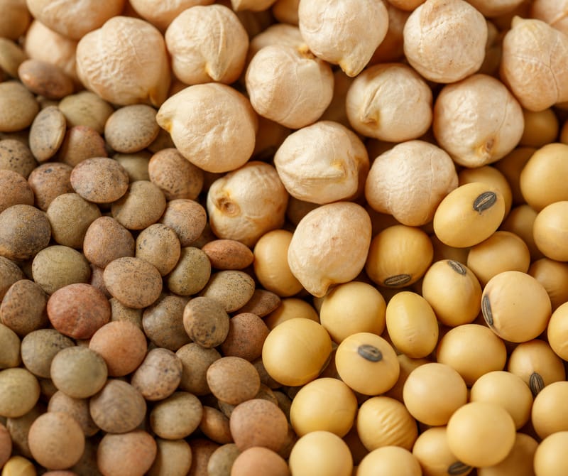 legumes