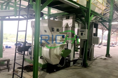 2.5-3TH Pine Shavings Pelletizing Project