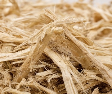 bagasse