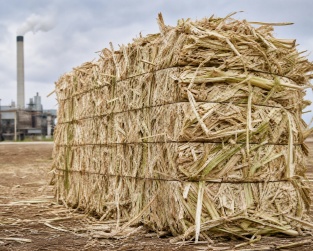 balle de bagasse