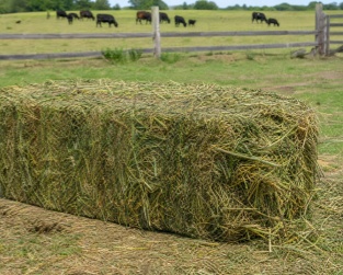 balle de fourrage_herbe