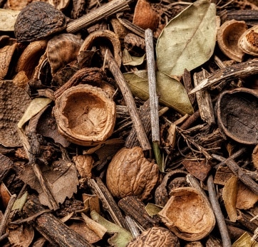 other biomass