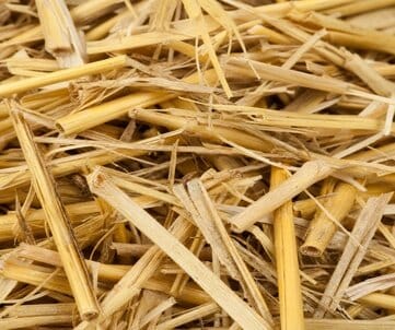 raw_straw
