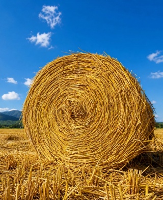 balle de paille de riz