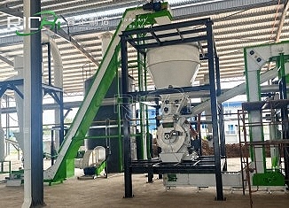 Biomass Project Two
