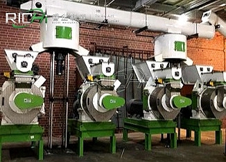 Biomass Project five