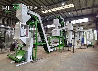 Biomass Project six