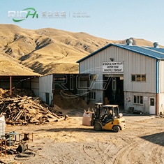 RICHI PROJECT SEVEN