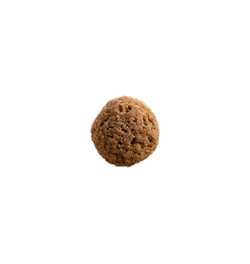 aquatic feed pellet