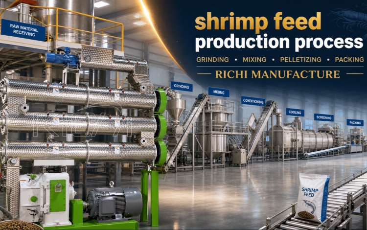 RICHI Demonstration of shrimp feed production process