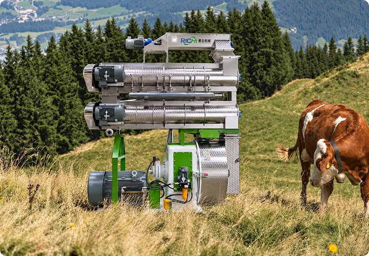 Macchina per la produzione di pellet RICHI